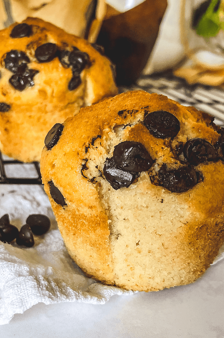 Vegan Chocolate Chip Muffins By The Forkful