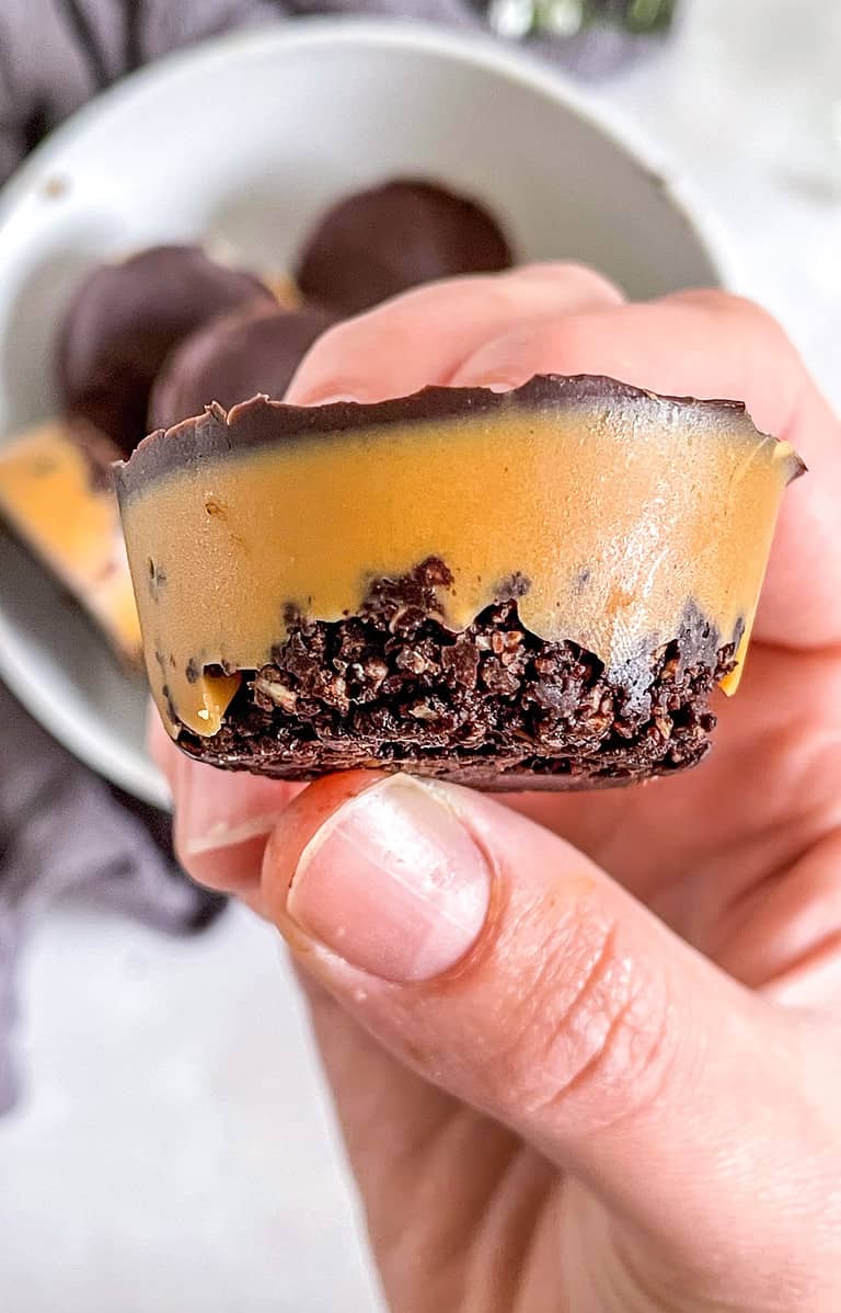 Chocolate Biscoff Bites (Vegan + No-Bake)