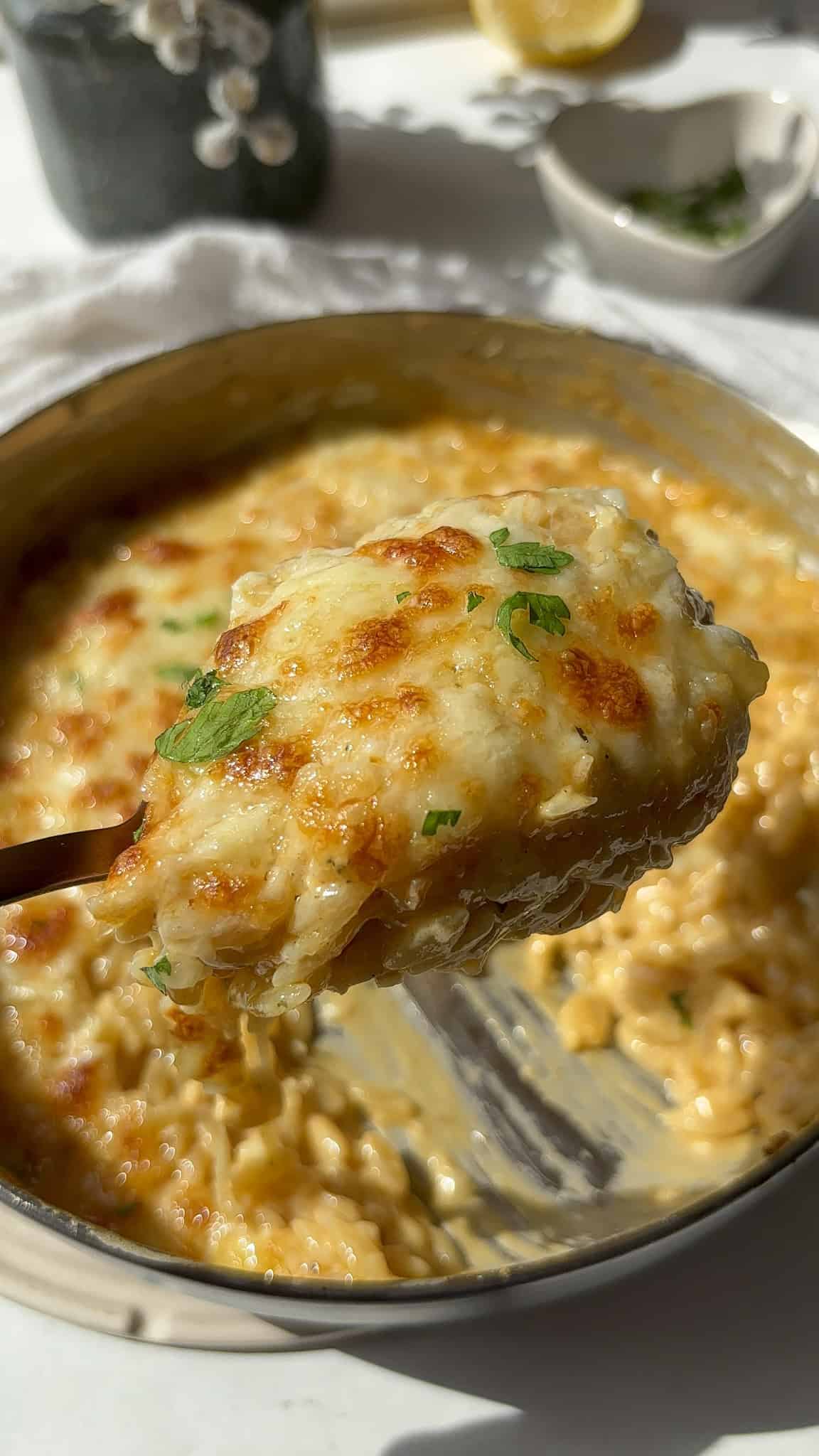 a spoonful of orzo mac and cheese with that melted cheesy layer topped with fresh herbs