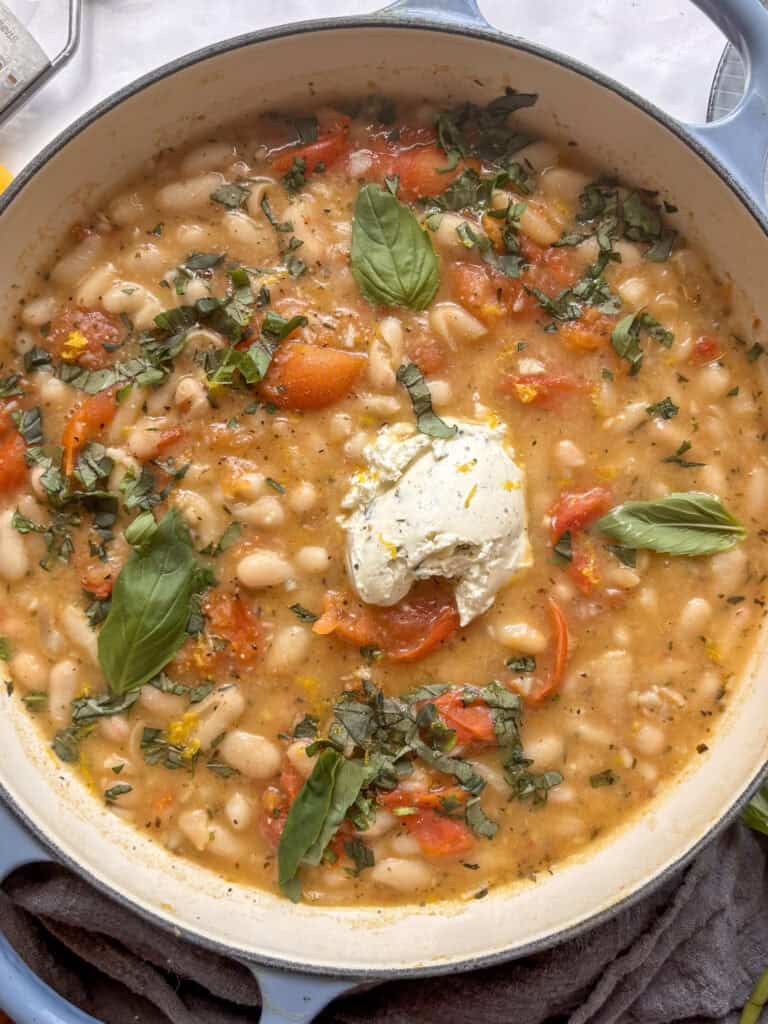 close up of creamy white beans with basil, soft cheese, and lemon zest topping