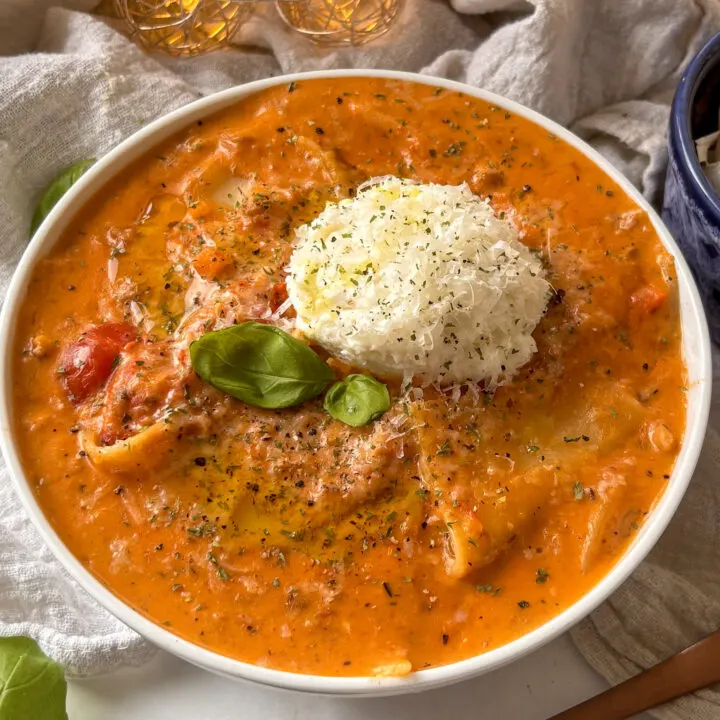 Vegetarian Lasagna Soup