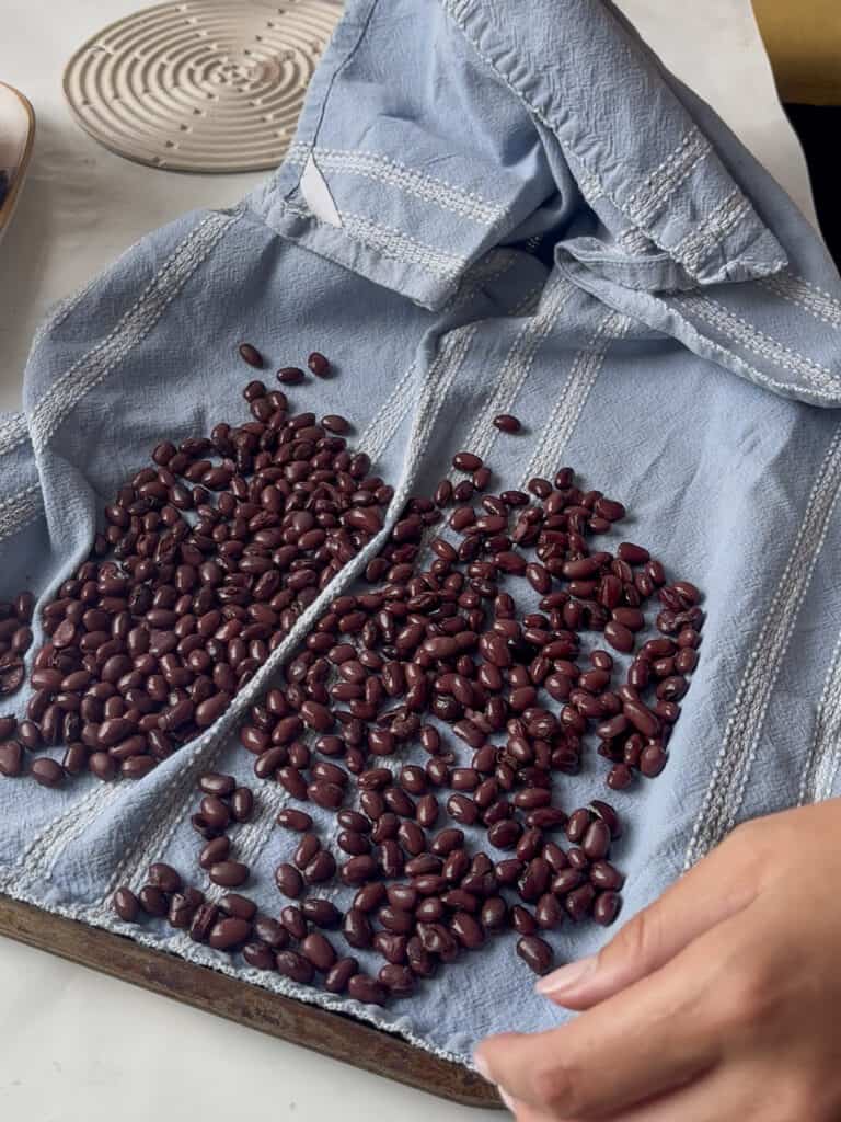 black beans arranged on a clean tea towel to be dried before mashing