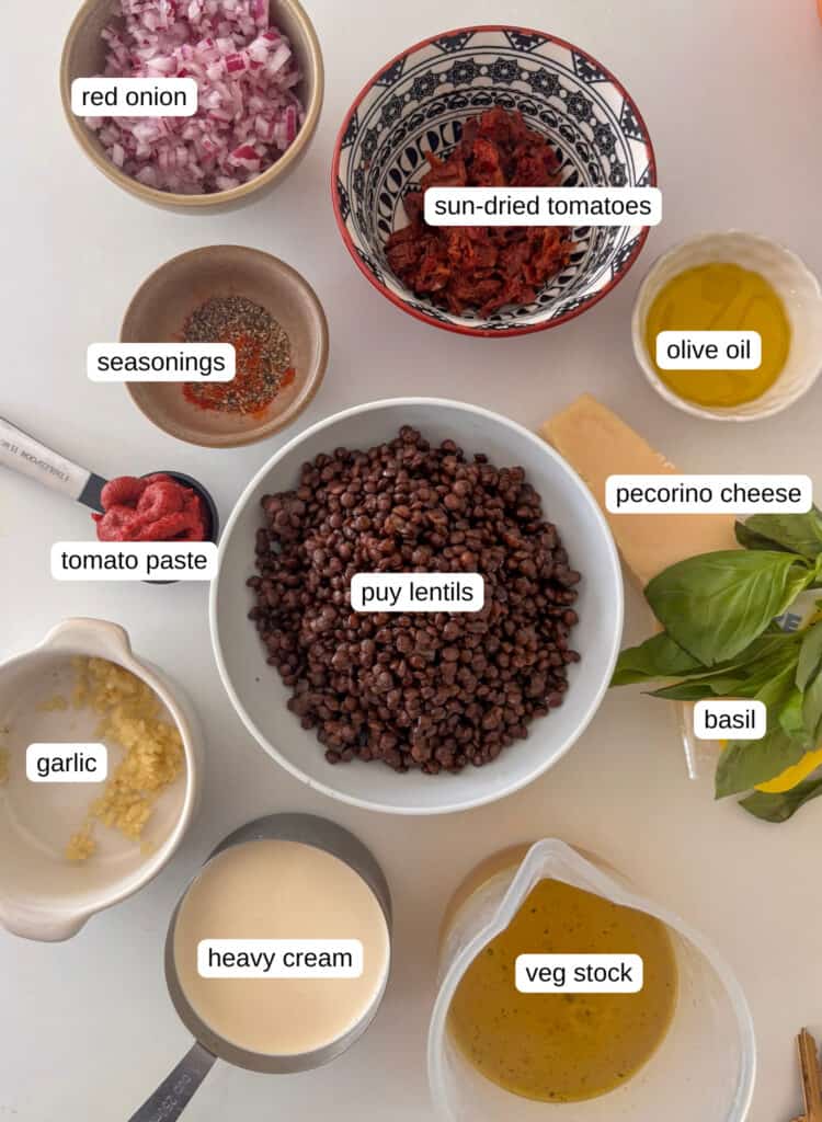 ingredients needed for marry me lentils: red onion, sun-dried tomatoes, olive oil, puy lentils, pecorino cheese, basil, seasonings, tomato paste, garlic, white wine, heavy cream, veg stock