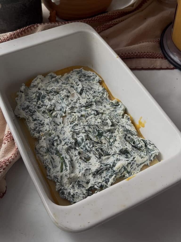 a layer of spinach and ricotta sauce spread over the lasagne sheets for the butternut squash and spinach lasagne